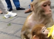 乐鱼体育地址-关于赛场动态引发围观精彩瞬间感染情绪的信息