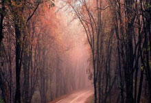 乐鱼体育新闻-沙尔克爆冷战胜莱比锡红牛，卡拉赞得球破门