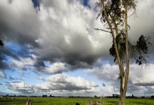 乐鱼体育app下载地址-柏林赫塔展现实力，全力冲刺赛季目标