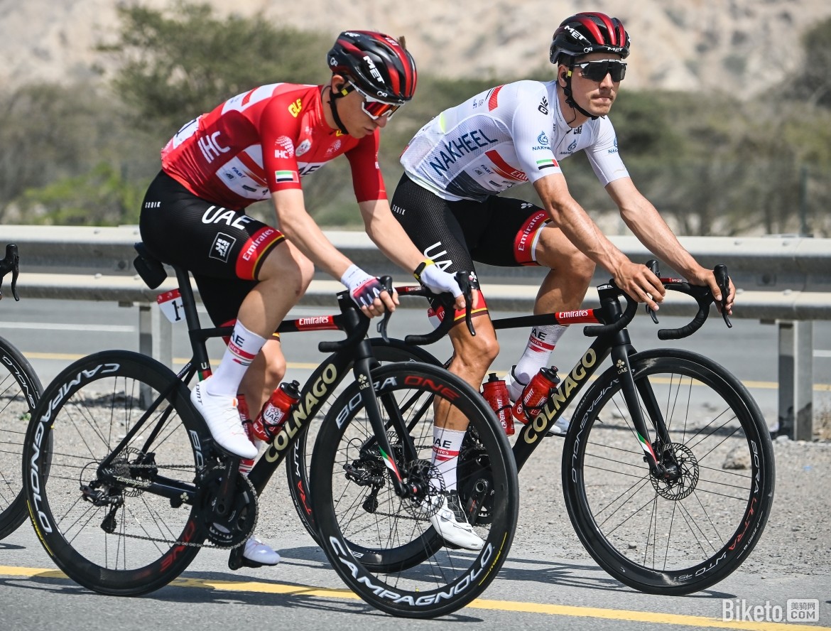 包含猛龙再胜强敌，状态持续火热的词条